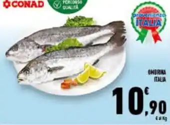 Conad Superstore OMBRINA ITALIA offerta