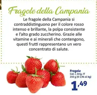 In'S Mercato Fragole Cat. I, Orig. IT 250 g offerta