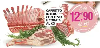 CAPRETTO INTERO CON TESTA E CORATA