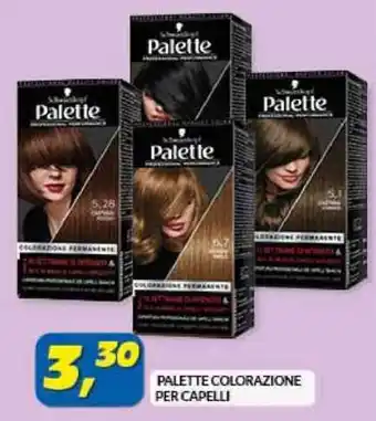 Risparmio Casa PALETTE COLORAZIONE PER CAPELLI offerta