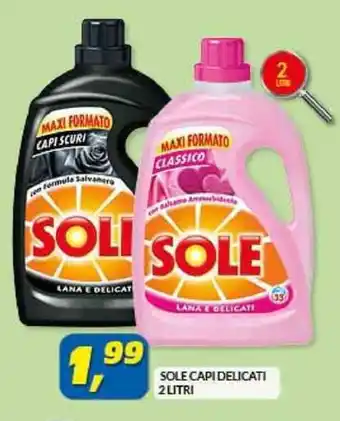 Risparmio Casa SOLE CAPI DELICATI 2 LITRI offerta