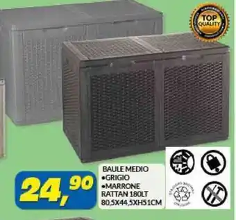 Risparmio Casa BAULE MEDIO GRIGIO MARRONE RATTAN 180LT 80,5X44,5XH51CM offerta