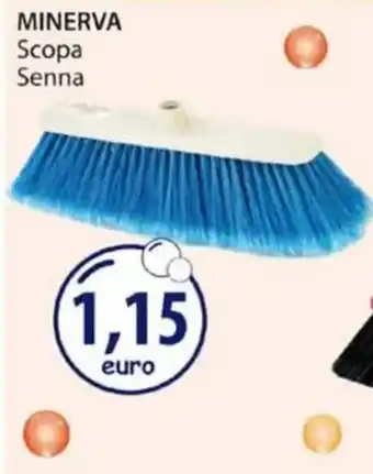 Acqua & Sapone MINERVA Scopa Senna offerta