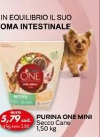 Italmark PURINA ONE MINI Secco Cane 1,50 kg offerta