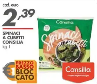 Italmark SPINACI A CUBETTI CONSILIA kg 1 offerta