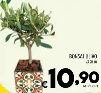 Il Centesimo BONSAI ULIVO VASO 10 offerta