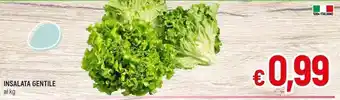 A&O INSALATA GENTILE offerta