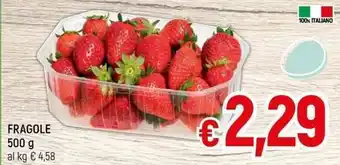 A&O FRAGOLE 500 g offerta