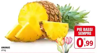 Iperal ANANAS al kg offerta