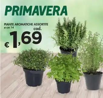 Bennet PIANTE AROMATICHE ASSORTITE offerta