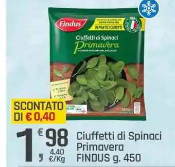 Supermercati Dok Ciuffetti di Spinaci Primavera FINDUS g. 450 offerta