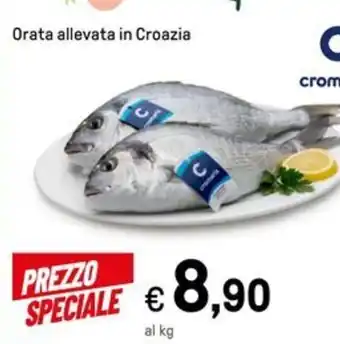 Iper La Grande Orata allevata in Croazia offerta