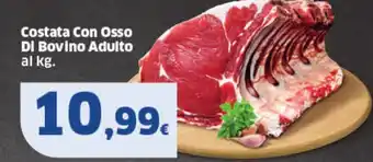 Sigma Costata Con Osso Di Bovino Adulto al kg. offerta