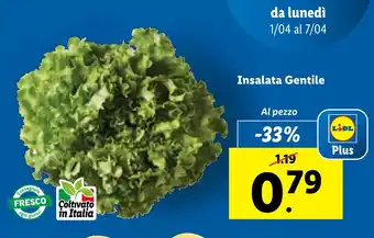 Lidl Insalata Gentile offerta