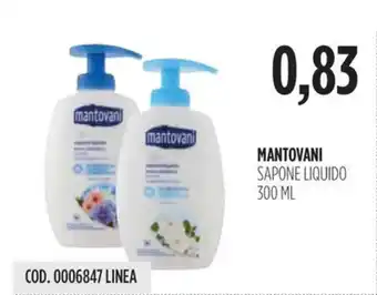 Carico Cash & Carry MANTOVANI SAPONE LIQUIDO 300 ML offerta