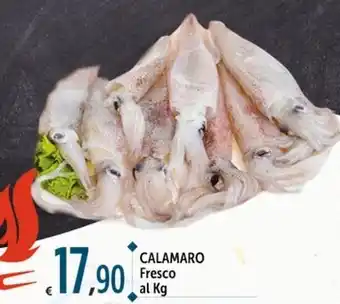 Carrefour Market CALAMARO Fresco offerta