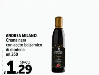 Carrefour Market ANDREA MILANO Crema nera con aceto balsamico di modena ml 250 offerta