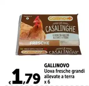 GALLINOVO Uova fresche grandi allevate a terra x6