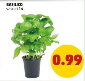 PENNY BASILICO vaso o 14 offerta