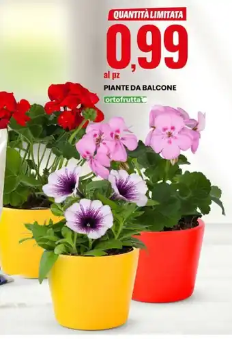 Eurospin PIANTE DA BALCONE offerta