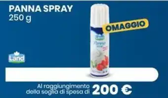 Eurospin PANNA SPRAY 250 g offerta
