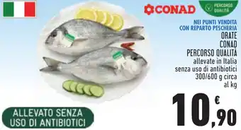 Conad NEI PUNTI VENDITA CON REPARTO PESCHERIA ORATE CONAD PERCORSO QUALITÀ offerta