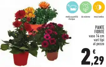 Conad PIANTE FIORITE vaso 14 cm vari tipi al pezzo offerta
