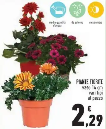 Conad City PIANTE FIORITE vaso 14 cm vari tipi al pezzo offerta