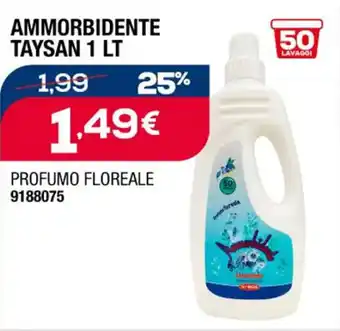 Bricofer AMMORBIDENTE TAYSAN 1 LT offerta