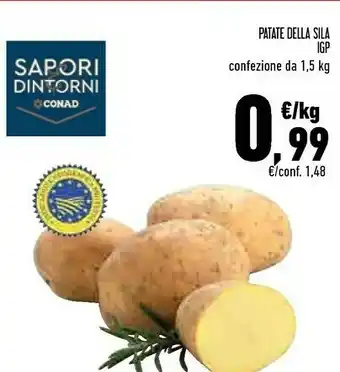 Conad City Patate della sila igp offerta