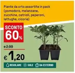 Iper La Grande Piante da orto assortite in pack offerta