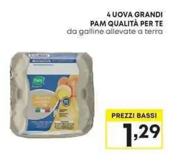 Pam 4 UOVA GRANDI PAM QUALITÀ PER TE offerta