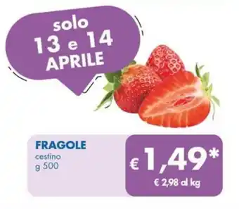 MD Discount FRAGOLE cestino g 500 offerta