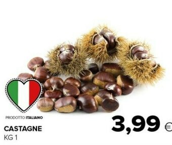 Tigre Castagne offerta