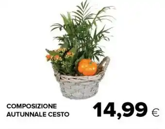 Tigre Composizione autunnale cesto offerta