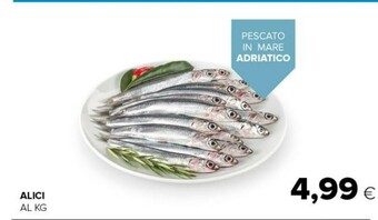 Tigre Alici offerta