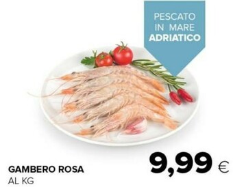 Tigre Gambero rosa offerta