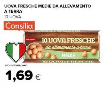 Tigre Uova fresche medie da allevamento a terra offerta