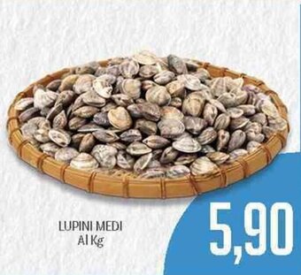 Supermercati Piccolo Lupini Medi offerta