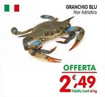 D'Ambros GRANCHIO BLU Mar Adriatico offerta