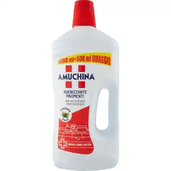 AMUCHINA