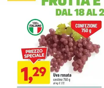 DPiù Uva rosata offerta