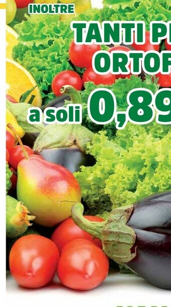 DPiù Verdure offerta