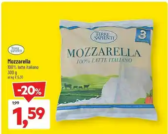 DPiù Mozzarella 100% latte italiano offerta