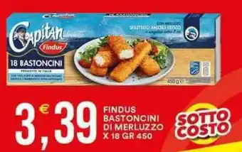 Vantaggio Cash&Carry FINDUS BASTONCINI DI MERLUZZO X 18 GR 450 offerta