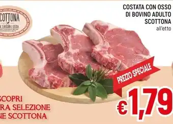 Famila Superstore COSTATA CON OSSO DI BOVINO ADULTO SCOTTONA offerta