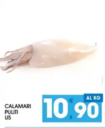 CALAMARI PULITI U5