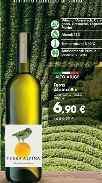 Carrefour Vino offerta