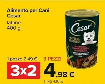 Carrefour Alimento per cani offerta