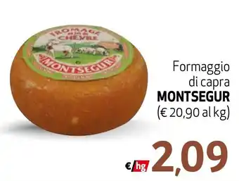 Eurospesa Formaggio di capra MONTSEGUR offerta